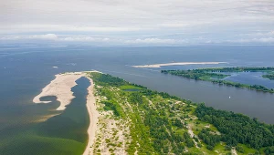 Rzadkie zjawisko w Bałtyku. Miłośnicy letnich kąpieli nie będą zachwyceni 