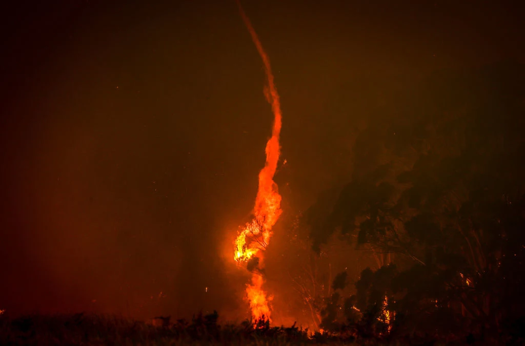 Burza ogniowa powstaje w wyniku pożaru ogromnej powierzchni lasów