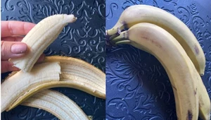 Czy można jeść końcówkę banana? Jak to jest z tymi robakami?