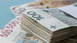 Będą unieważniać umowy kredytowe? "Możliwy napływ spraw do sądów"