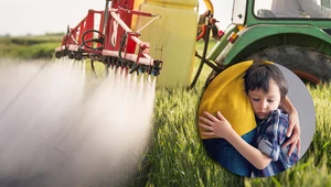Pestycydy zagrażają dzieciom w Polsce. UNICEF nie pozostawia złudzeń
