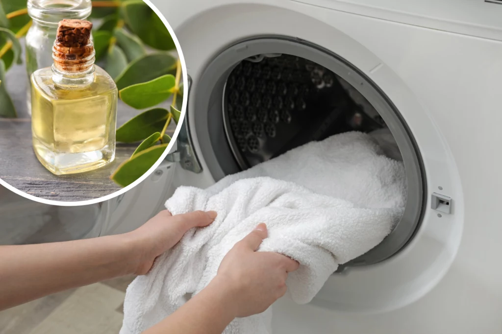 Dlaczego warto używać olejku eukaliptusowego do prania ręczników?