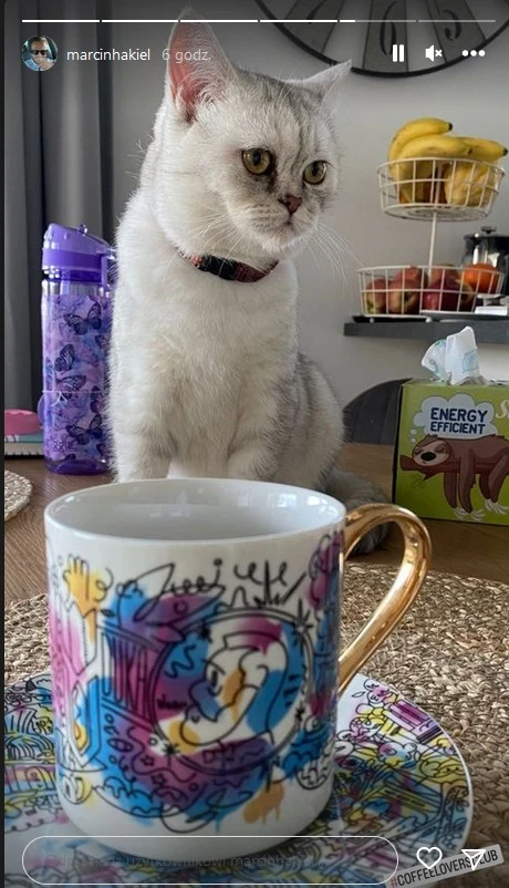 Hakiel pochwalił się uroczym towarzystwem kociaka Hakiel pochwalił się uroczym towarzystwem kociaka