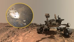 Mars kolejnym śmietnikiem Ziemi? NASA ma problem