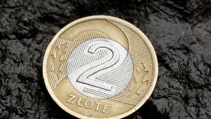 Złoty wciąż pozostaje mocny. Konferencja Donalda Tuska okazała się wsparciem dla polskiej waluty. Zdj. ilustracyjne