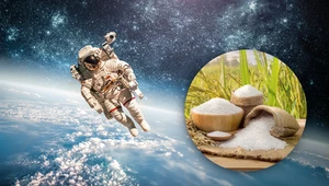 Chińczycy wyhodowali ryż w kosmosie. Są pierwsi na świecie