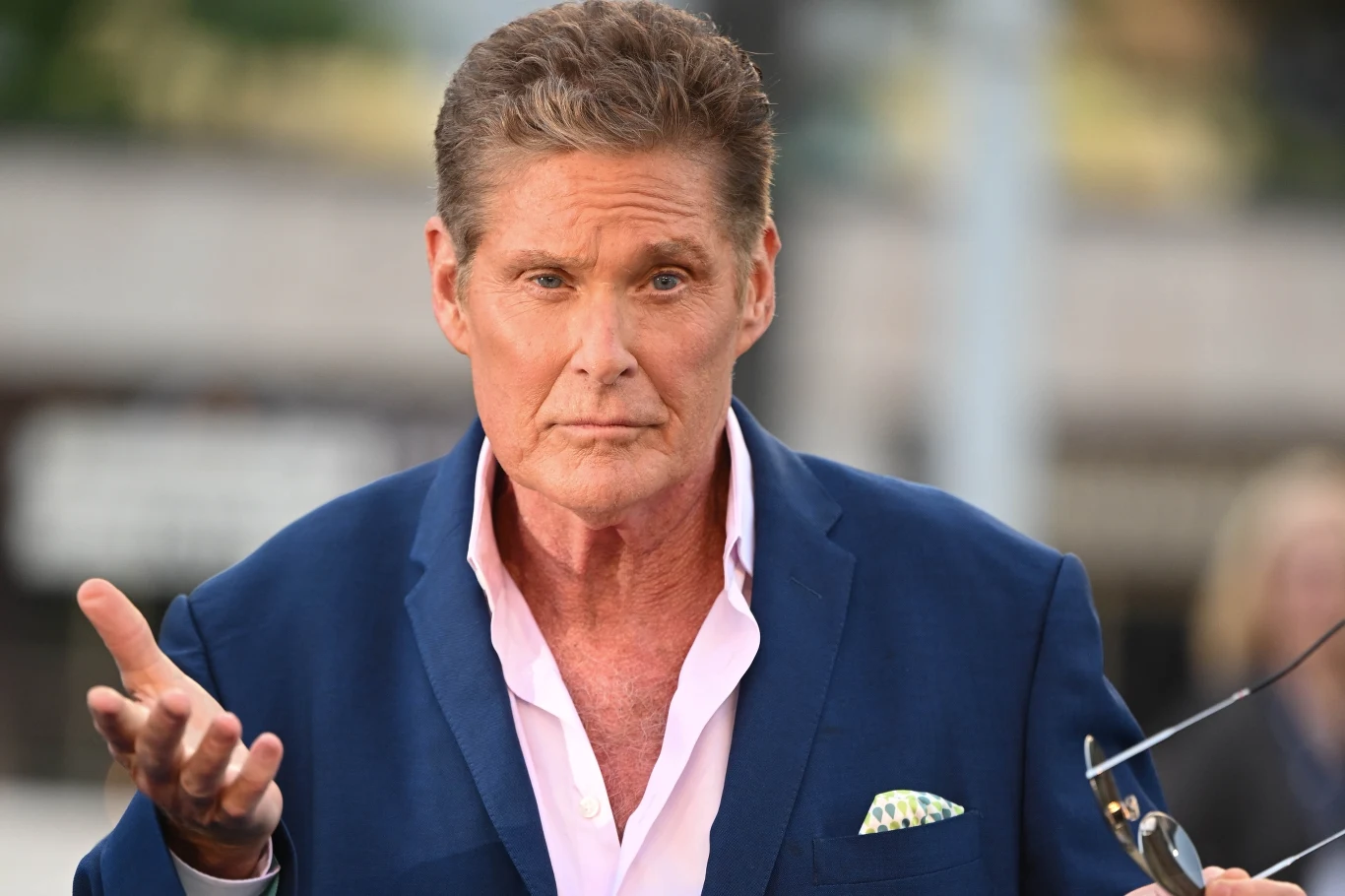 David Hasselhoff David Hasselhoff
