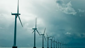 Czy Polska będzie jednym z liderów branży energetyki morskiej? Zdjęcie ilustracyjne