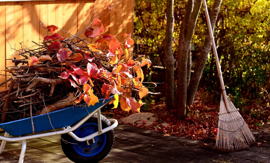 Wśród kolorów i zapachów jesieni przygotowujemy nasz ogród na nadejście zimy.