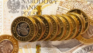 Kursy walut. Ile kosztują euro, dolar i frank w piątek, 24 maja?