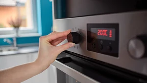 Ile kosztuje jedna godzina pieczenia w piekarniku elektrycznym 2022? Zdziwisz się!