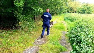 Poszukiwania 80-latka prowadzono m.in. z użyciem psów tropiących