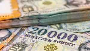 Centralny bank Węgier podniósł główną stopę procentową o 125 pb.