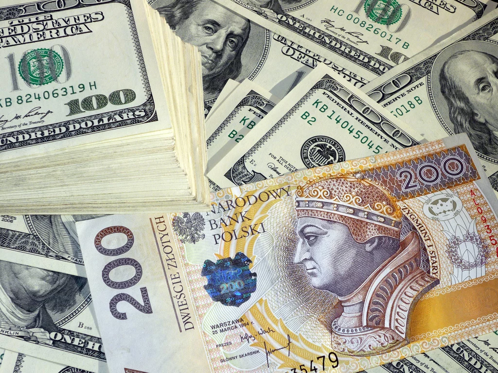Kursy walut. Ile kosztują euro, dolar i frank we wtorek, 21 listopada?
