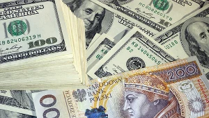 Kursy walut. Ile kosztują euro, dolar i frank we wtorek, 26 sierpnia?