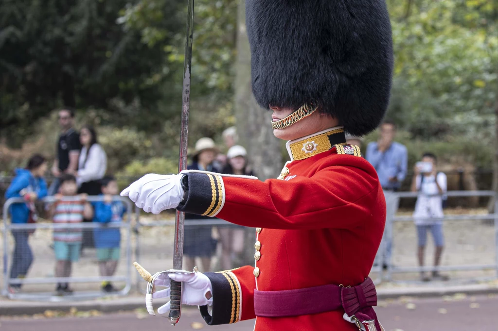 Internauci nie kryją oburzenia zachowaniem żołnierza Gwardii Królewskiej