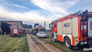 Stado byków zaatakowało mężczyznę 