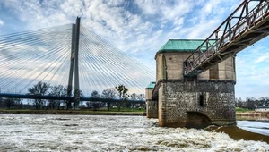 Odra potrzebuje kilkunastu lat, aby powrócić do równowagi