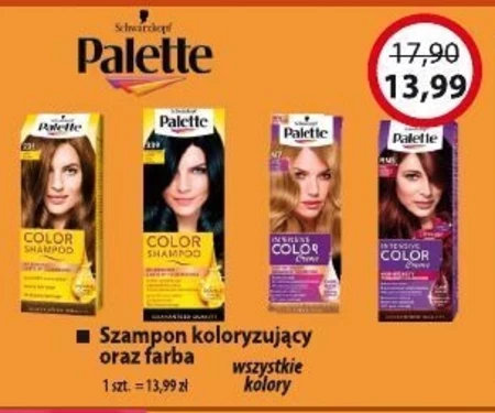 Palette Color Shampoo Szampon koloryzujący do włosów 113 (1-0) czarny