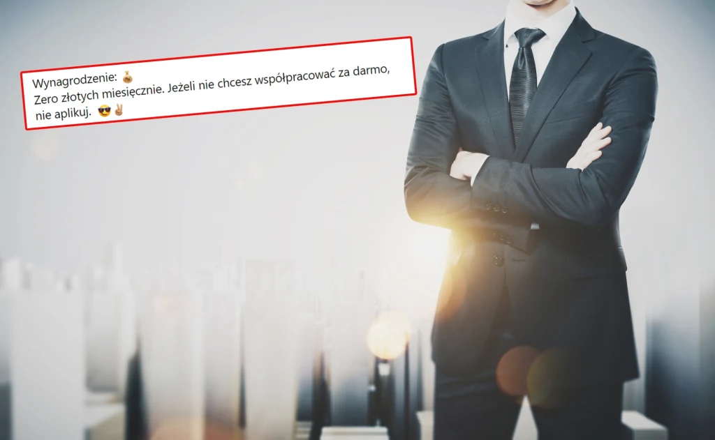 To ogłoszenie o pracę zdobyło polski internet w ostatnich godzinach.