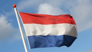 Holandia. Dziennik ujawnił nadużycia wobec migrantów zarobkowych