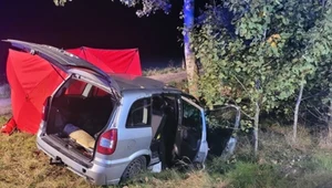 Śmiertelny wypadek w Nowym Orzechowie. Nie żyje 45-letni kierowca opla