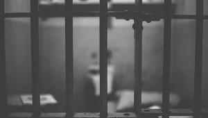 Artystka musiała zapłacić karę grzywny. 30-krotność stawki i to razy dwa / Zdjęcie poglądowe
