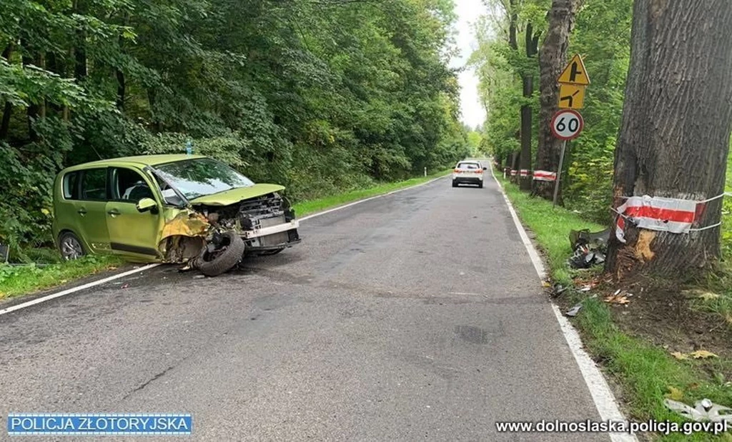 Walcząc z pszczołą kierowca Citroena stracił panowanie nad autem i uderzył w drzewo