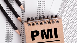 Wrześniowy PMI dla polskiego przemysłu wyniósł 43 pkt. Zdj. ilustracyjne