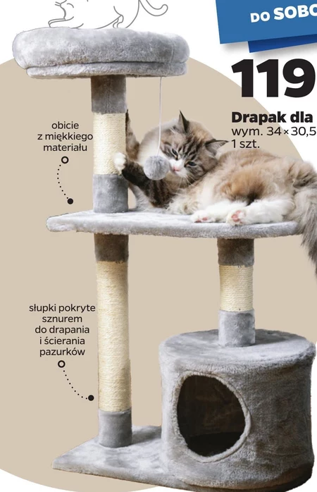 Drapak dla kota