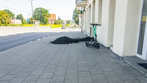 Węgla w polskich domach nie zabraknie? Zdj. ilustracyjne