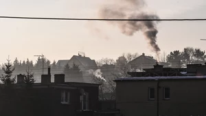 Zima przyniesie Polsce gigantyczny smog