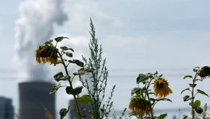 Niemcy rezygnują ze spalania węgla brunatnego. O 8 lat szybciej