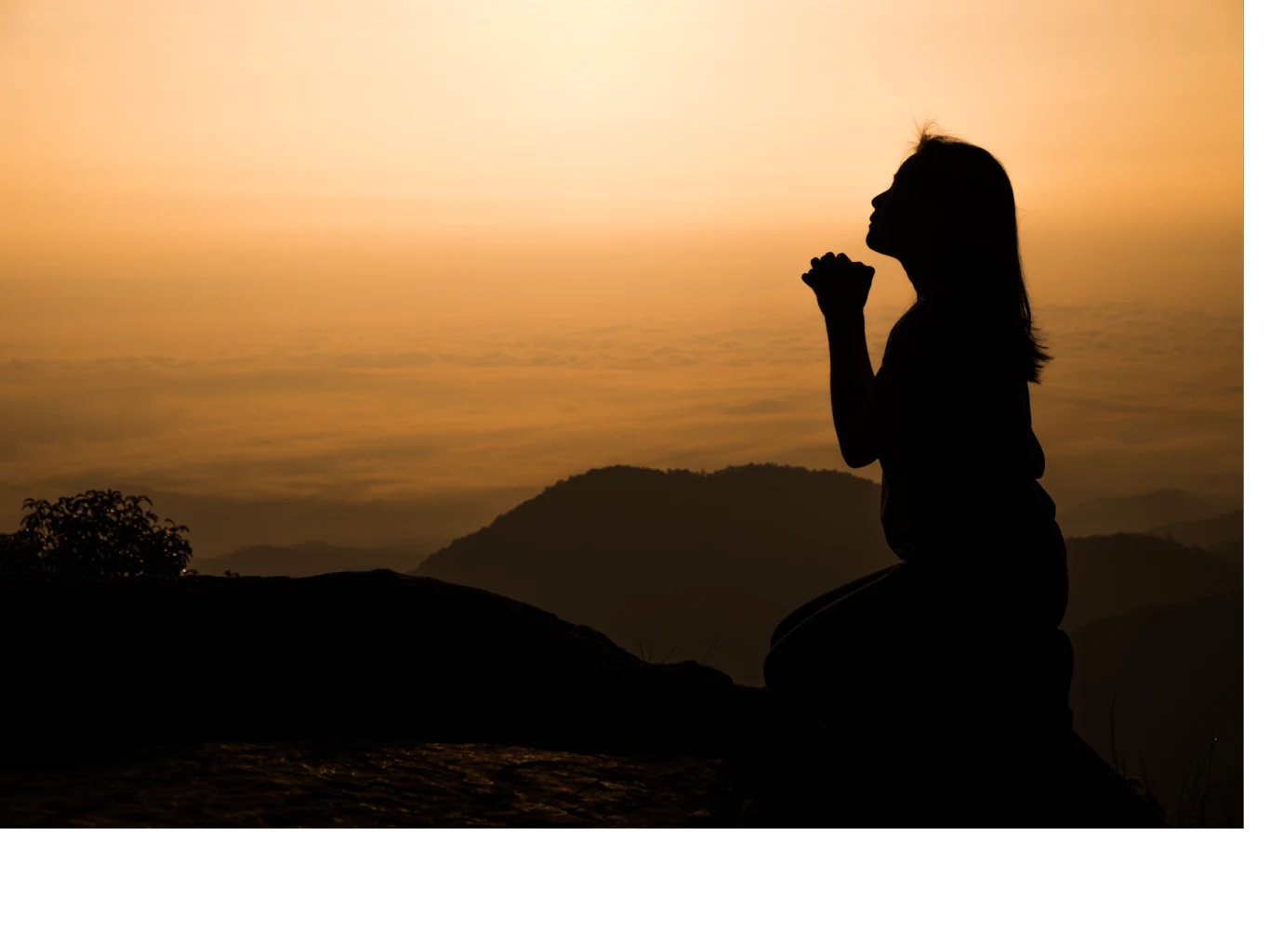 Na całym świecie żyje kilkanaście tysięcy pustelnic i pustelników Na całym świecie żyje kilkanaście tysięcy pustelnic i pustelników