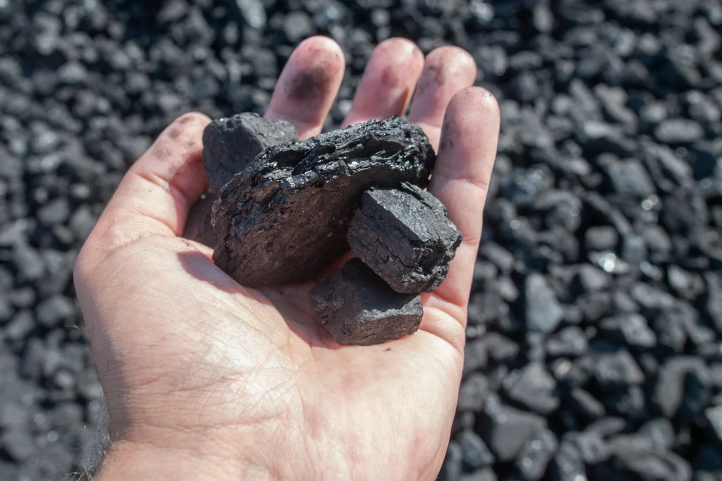 Groszek osiąga kaloryczność niemal taką jak węgiel kamienny. Miał jest odpadem po sortowaniu groszku, więc jest mniej wydajny. Oba paliwa nie mają nic wspólnego z ekologią