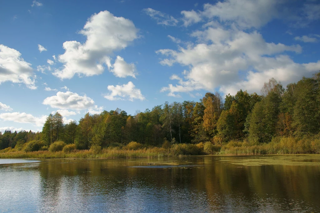 Jezioro Topiło Jezioro Topiło
