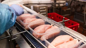 Krajowa Rada Drobiarstwa: Drób z Brazylii może wyprzeć polskie mięso z Europy