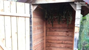 Pomysłowy 21-latek urządził suszarnie marihuany w wolnostojącej toalecie