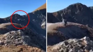 Pilot helikoptera w ostatniej chwili uniknął katastrofy