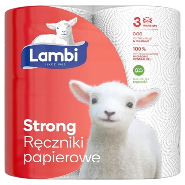 Ręcznik papierowy Lambi - 4