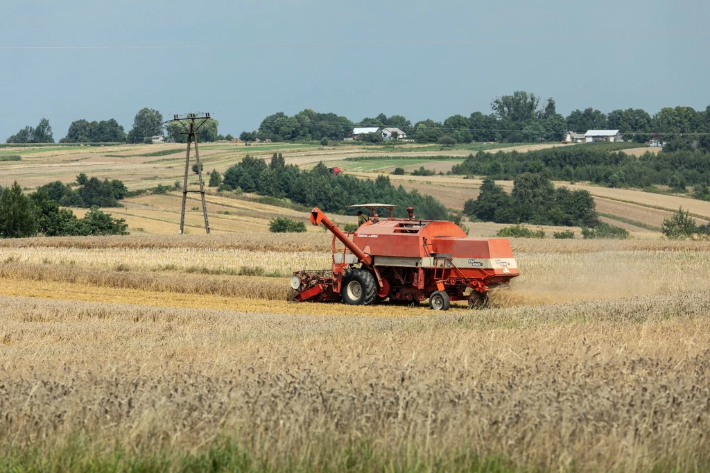 Termin składania wniosków o pomoc suszową 2022 został wydłużony. Składać będzie można nie tylko faktury