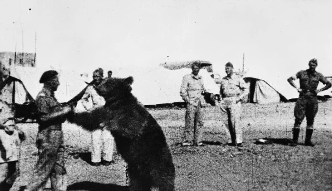 Te zwierzęta pamięta historia