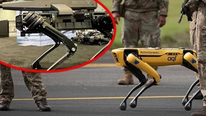 Stworzyli je, a teraz się boją. Boston Dynamics o robotach do zabijania!