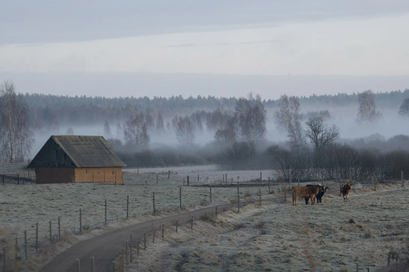 Dla dawnej ludności las był miejscem magicznym i pełnym tajemnic 