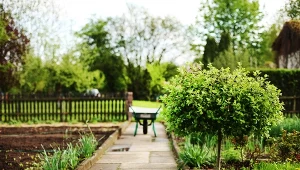 Dotacje dla działkowców: wnioski chociażby o unijne wsparcie dla ogródków działkowych można będzie jeszcze składać