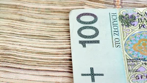 Podatki. Estoński CIT nie dla wszystkich będzie atrakcyjny? Zdj. ilustracyjne