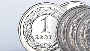 Ile kosztują dolar, euro i frank 25.08.2025 roku? Zdj. ilustracyjne