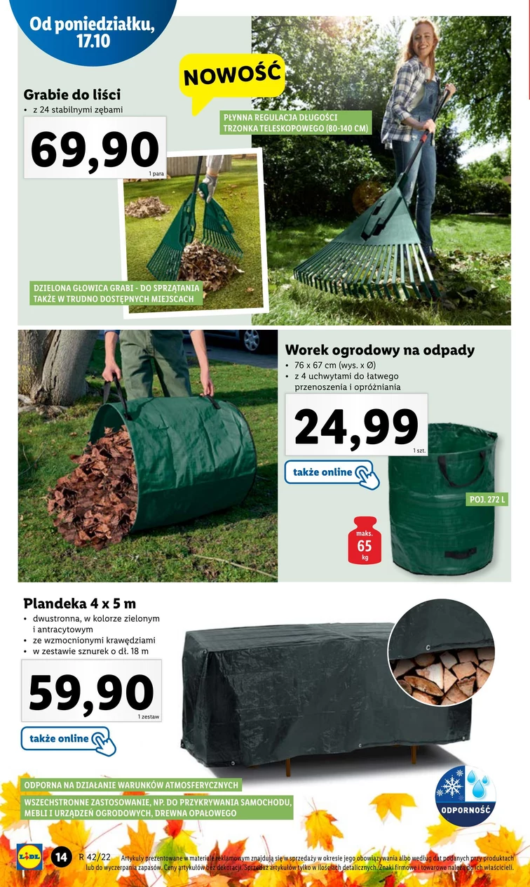 leaflet page preview image