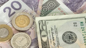 Złoty zyskuje w czwartek do głównych walut 