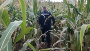 Autostopowicz zaatakował mężczyznę, który chciał mu pomóc